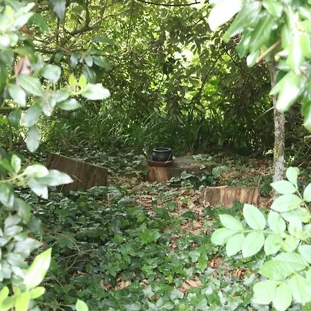 Coeur D'albatre 別荘 Saint-Riquier-ès-Plains